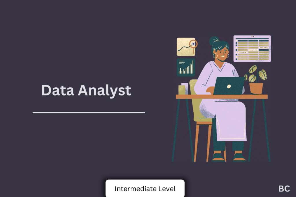 Data analyst