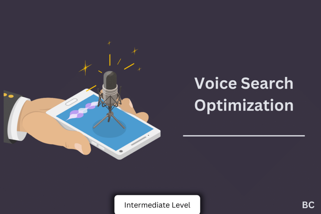 Voice search optimization